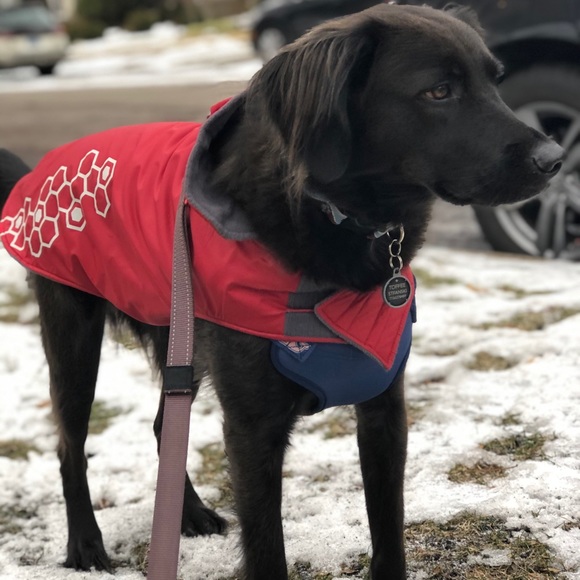 Meet your Posher, Hania - Picture 2 of 3